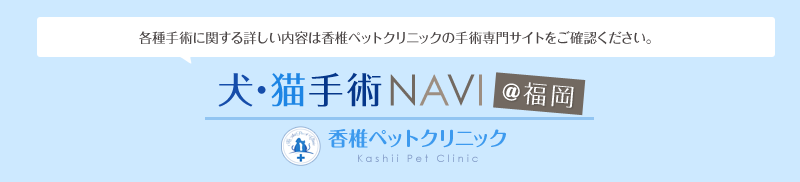 犬・猫手術NAVI＠福岡