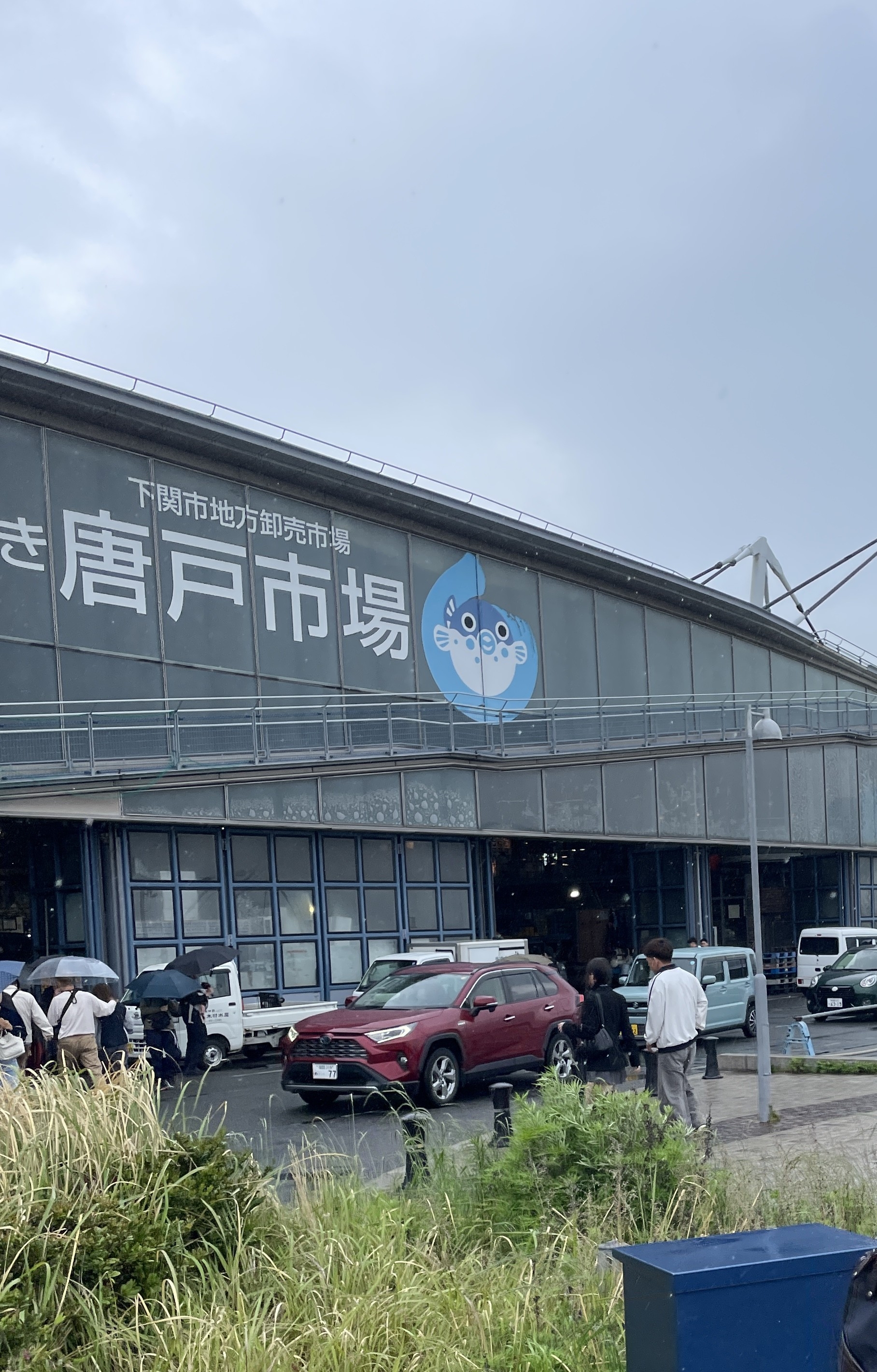 yamataka1