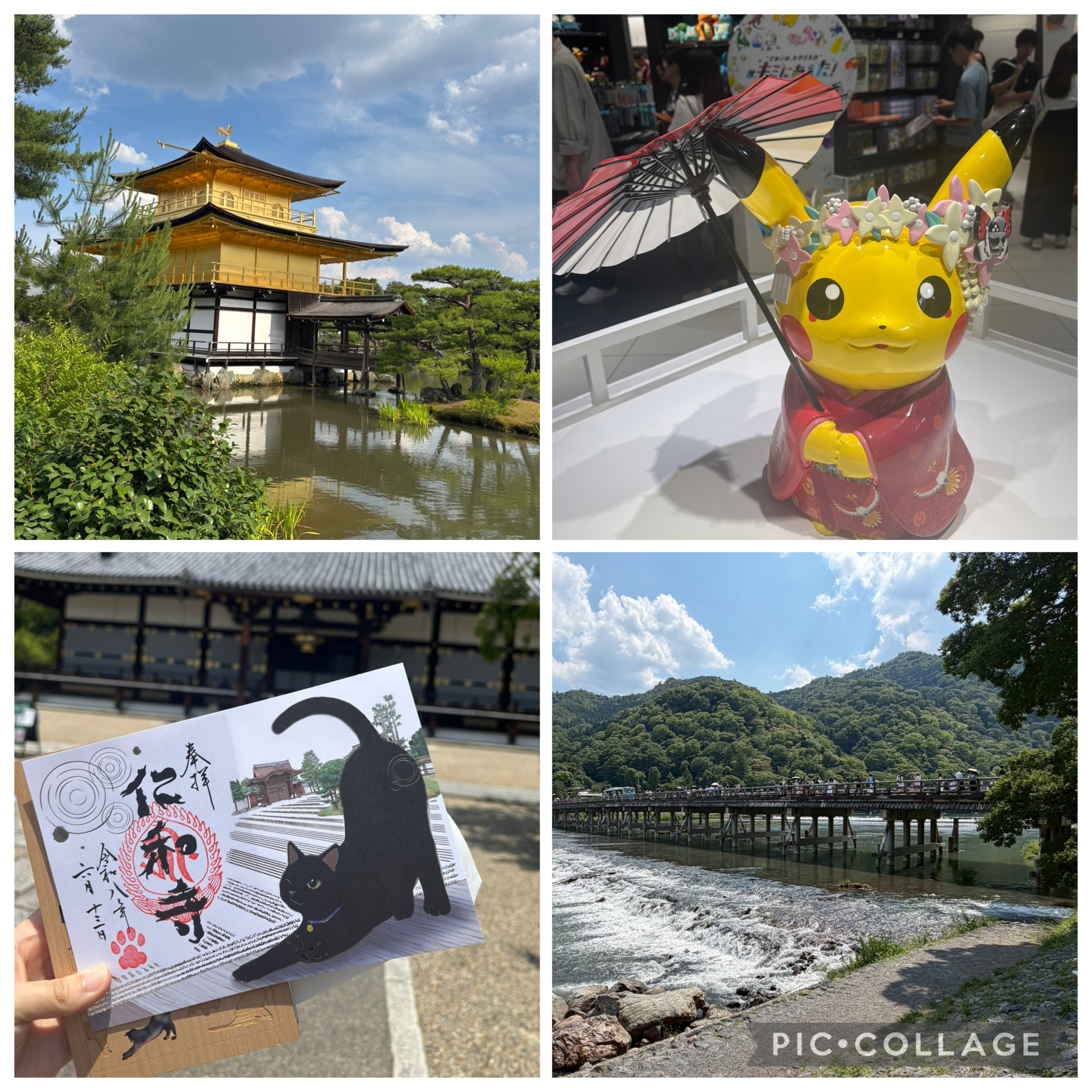 nekosake2