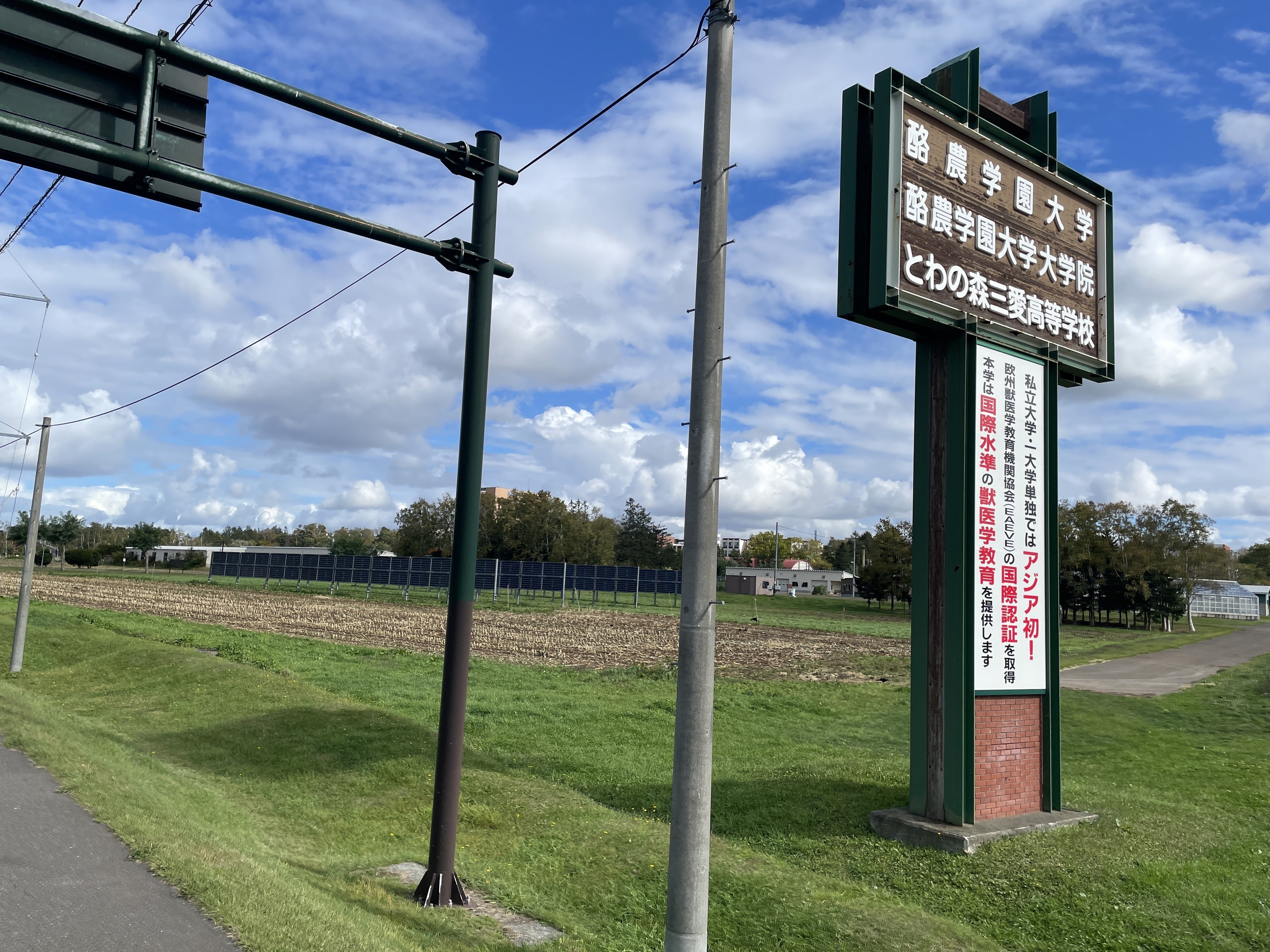takasatu1