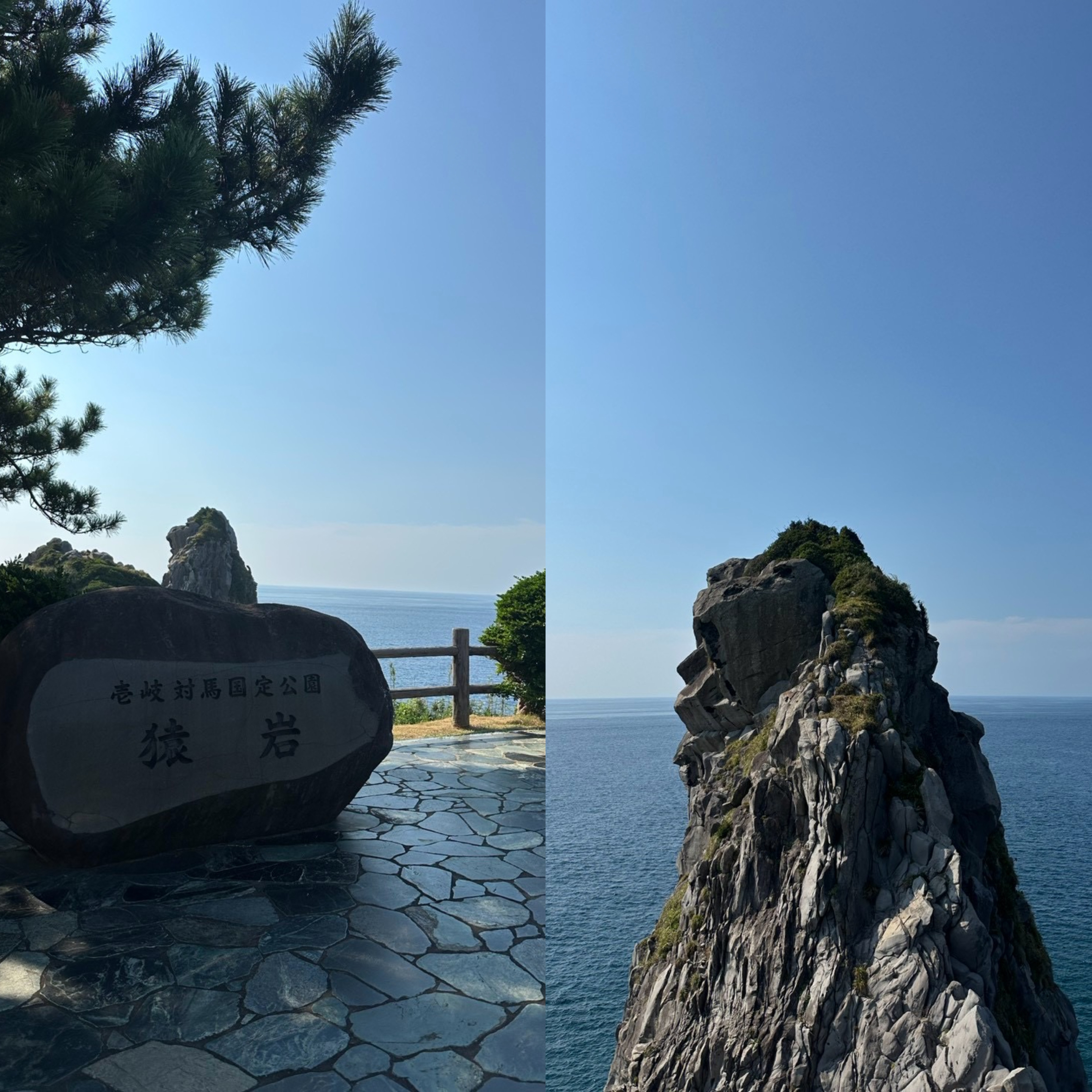 yamaiki2